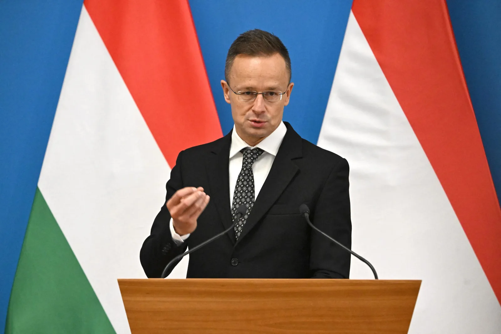 Reprezentant al Ungariei discutând despre reținerea cetățenilor ucraineni.