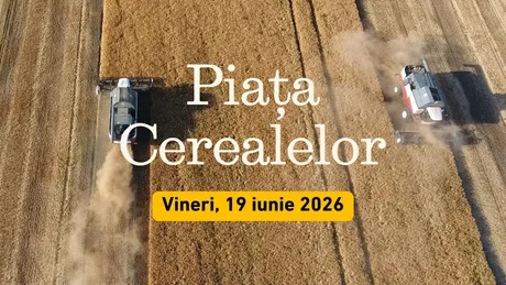Recoltarea cerealelor în România, cu mașini agricole pe câmpuri aurii.