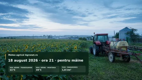 Peisaj agricol cu tractor în câmp, cer noros și plante de floarea-soarelui.