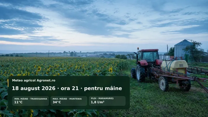 Peisaj agricol cu tractor în câmp, cer noros și plante de floarea-soarelui.