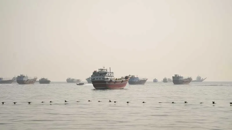 Vase de pescuit navigând pe ape calme, în apropierea unei țărmuri neclare.