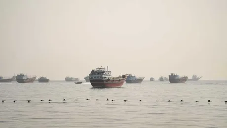 Vase de pescuit navigând pe ape calme, în apropierea unei țărmuri neclare.