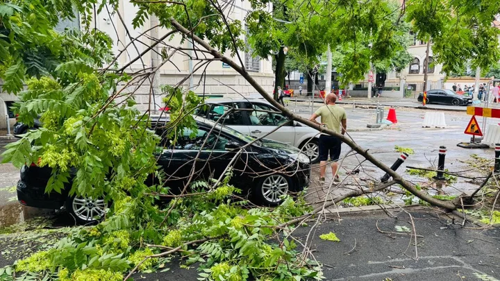Autovehicule avariate de furtuni, copaci căzuți pe stradă.