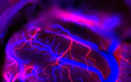 Rețea neuronală colorată, reprezentând activitatea cerebrală și tehnologia BCI.