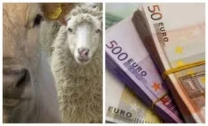 Subvenții pentru zootehnie și investiții în sectorul agricol românesc.