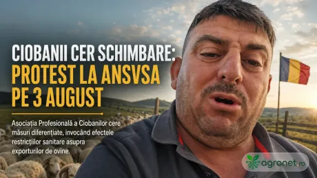 Crescătorii de ovine protestează pentru a solicita schimbări în conducerea ANSVSA.
