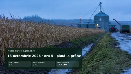 Ploi și burniță afectează lucrările agricole în Muntenia pe 13 octombrie.