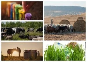 Rambursări pentru investiții în agricultură și dezvoltare rurală în România.