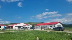 Ferma modernizată din Tărpiu cu sisteme automatizate pentru furajare și gestionarea dejecțiilor.