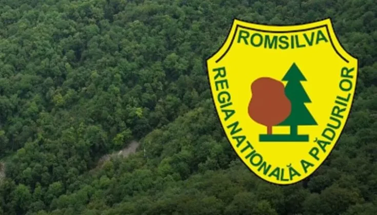 Conducerea Romsilva convocată pentru explicații privind achizițiile publice.