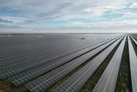 Panouri fotovoltaice amplasate pe un câmp vast în județul Arad.