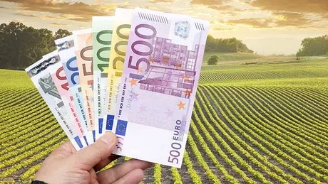 Sprijin financiar pentru fermierii care cultivă usturoi în România.