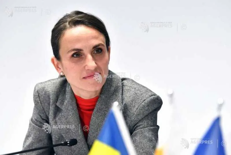 Oana Țoiu discutând despre cooperarea militară cu Italia.