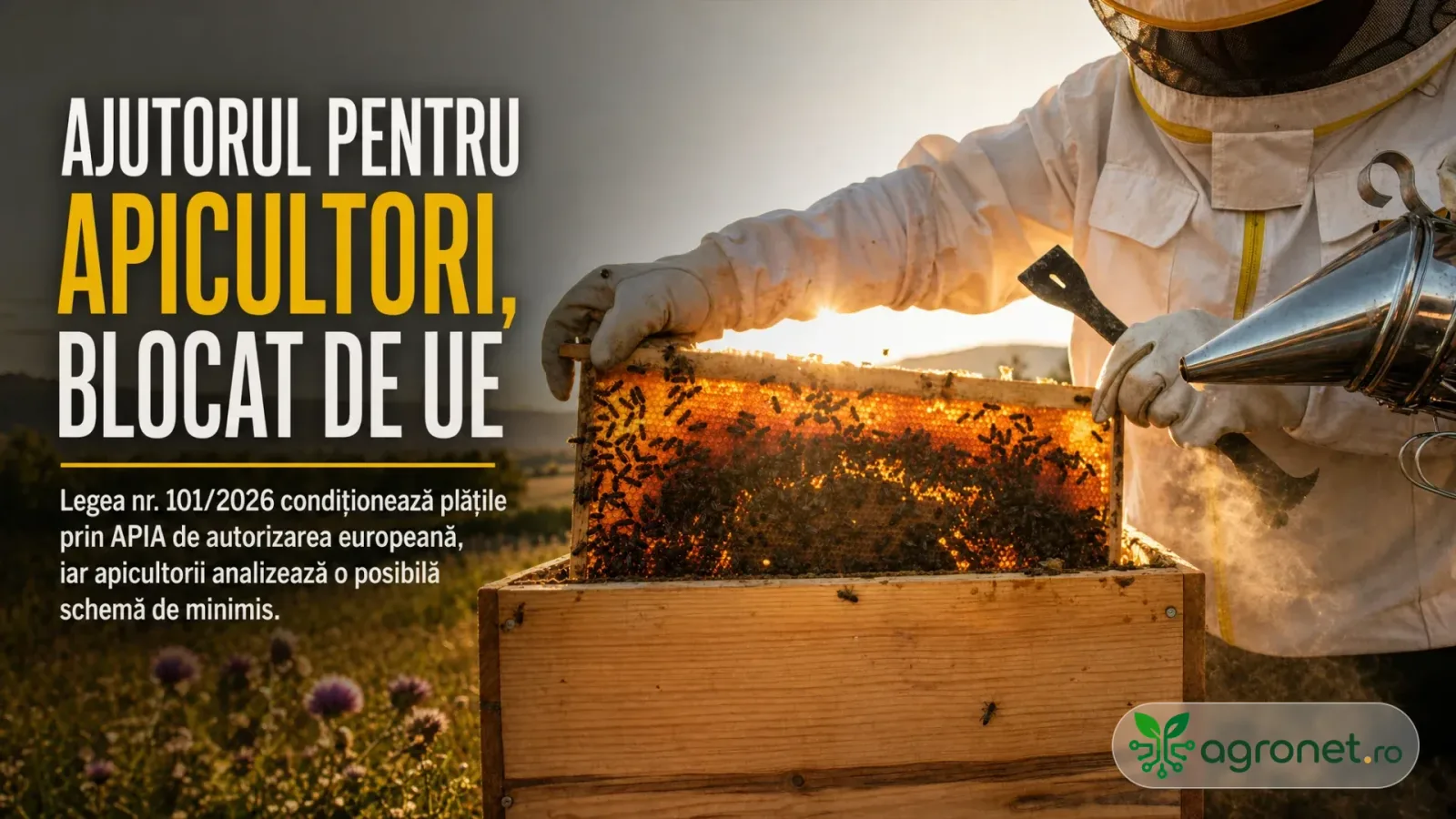 Apicultor lucrând cu un stup, în contextul ajutoarelor blocate de UE.