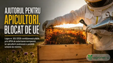 Apicultor lucrând cu un stup, în contextul ajutoarelor blocate de UE.