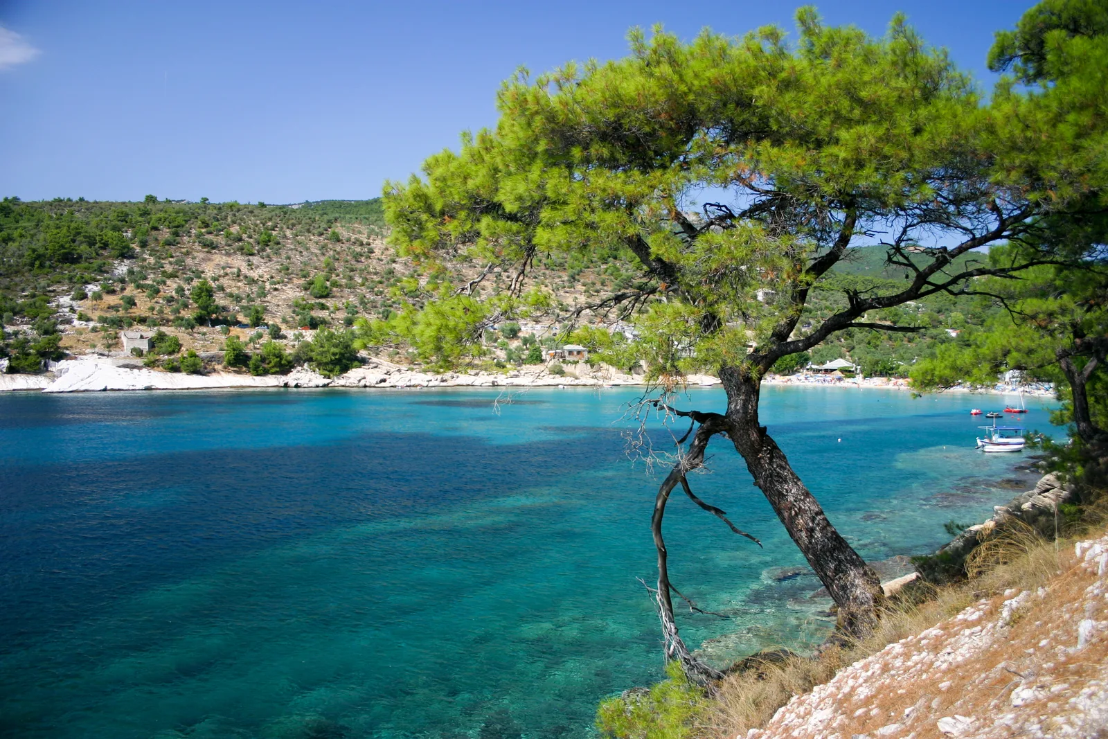 Peisaj idilic în Grecia, cu ape cristaline și vegetație luxuriantă.