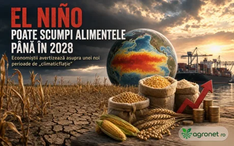 Impactul El Niño asupra prețurilor alimentelor și agriculturii până în 2028.
