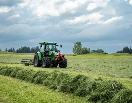 Tractor pe câmp, cosind fân în Bavaria, pe fondul secetei.