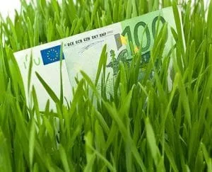 Bancnote de euro ascunse printre fire de iarbă verde.