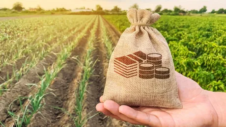 Sac cu bani pe un câmp agricol, simbolizând subvențiile pentru fermieri.