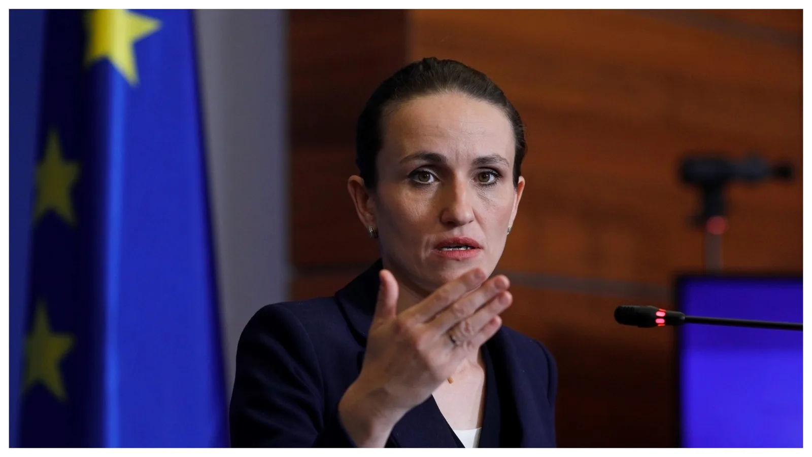 Oana Țoiu discută despre influența României în regiune și achiziția portului.