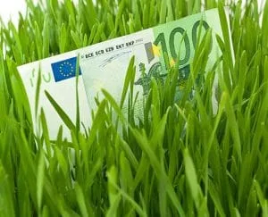 Sprijin financiar pentru pomicultorii afectați de înghețul din primăvara 2025.
